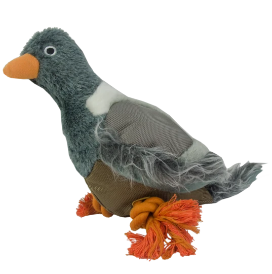 Wild Life Dog Pigeon (Duif)