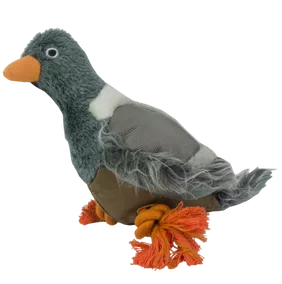Wild Life Dog Pigeon (Duif)