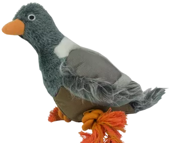 Wild Life Dog Pigeon (Duif)
